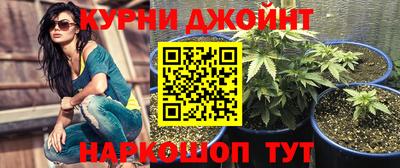гашик Кунгур
